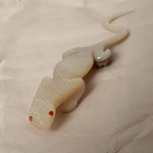 Unique Find! Carved Mother of Pearl Lizard