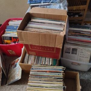 Lots Of 20 Mystery Vinyl Records